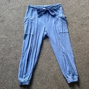 Light Blue Aerie Joggers